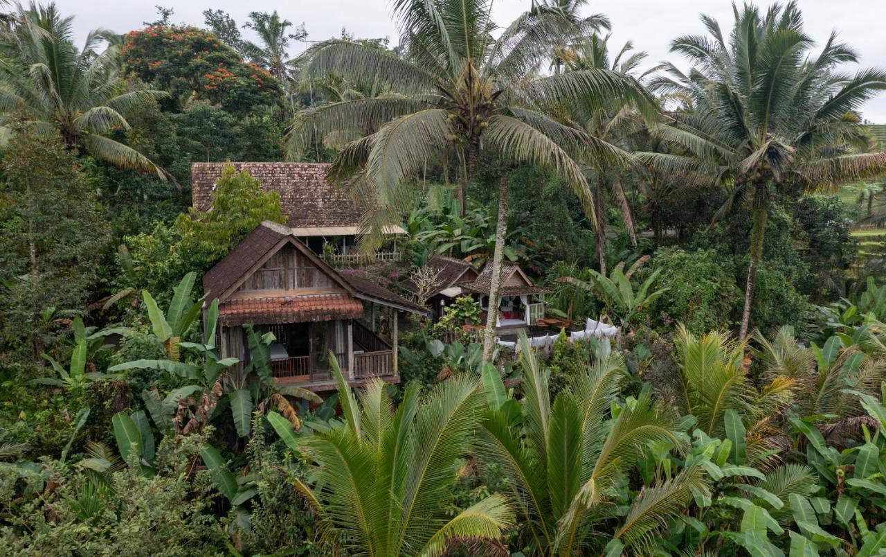 Niente Bali Villa Penebel Екстериор снимка